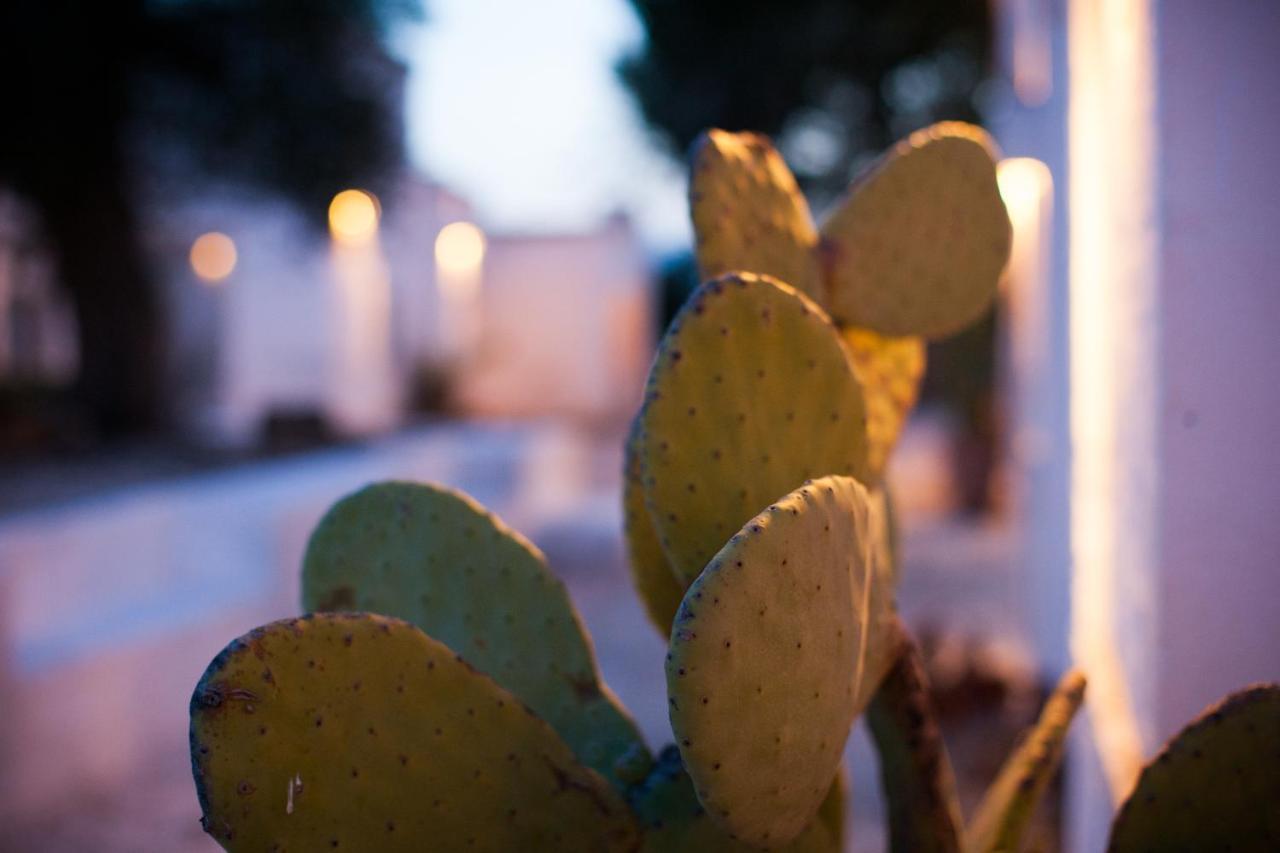 Masseria Cimino Savelletri Buitenkant foto